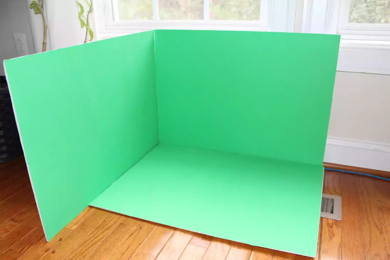 How To Use The Green Screen A beginner's Guide